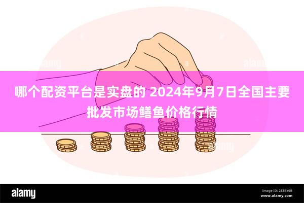 哪个配资平台是实盘的 2024年9月7日全国主要批发市场鳝鱼价格行情