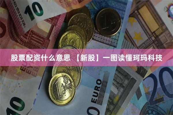 股票配资什么意思 【新股】一图读懂珂玛科技