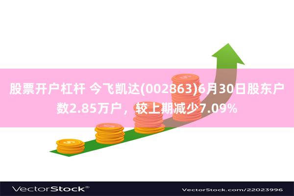 股票开户杠杆 今飞凯达(002863)6月30日股东户数2.85万户，较上期减少7.09%