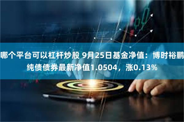 哪个平台可以杠杆炒股 9月25日基金净值：博时裕鹏纯债债券最新净值1.0504，涨0.13%