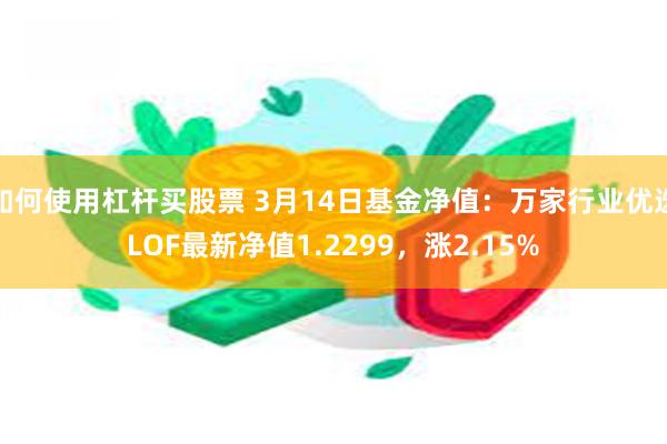 如何使用杠杆买股票 3月14日基金净值：万家行业优选LOF最新净值1.2299，涨2.15%