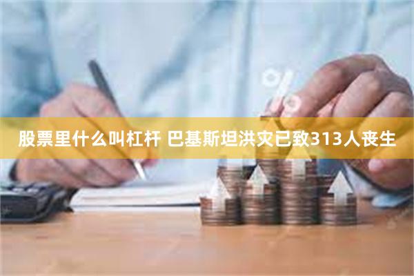 股票里什么叫杠杆 巴基斯坦洪灾已致313人丧生